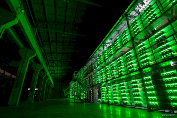 Майнерлер бюджетке қанша ақша төледі?