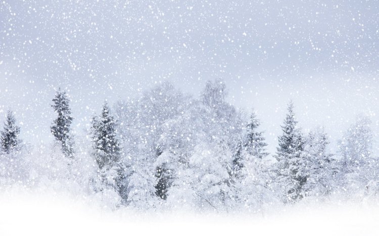 «Білмесең білдірем, білсең бүлдірем»