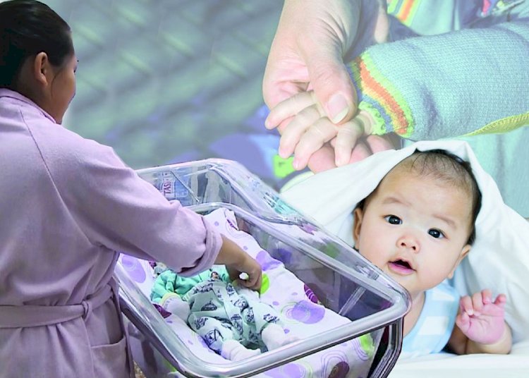 Сәбилі болуды аңсап жүрген жандар үшін ЭКҰ аясында 7 мың квота бөлінді