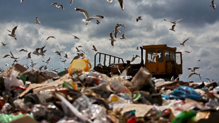 Алматы облысындағы заңсыз полигон жойылады