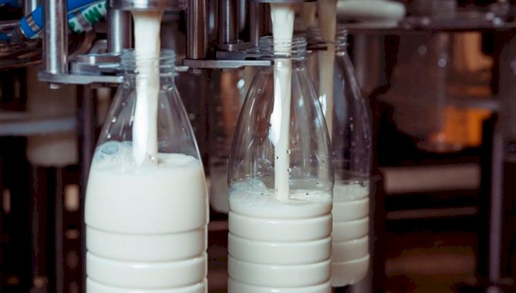 Ұлттық палата сүт саласын дамыту бағдарламасын жасауға дайын