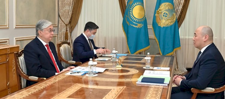 Президент "Бәйтерек" холдингінің басқарма төрағасын қабылдады