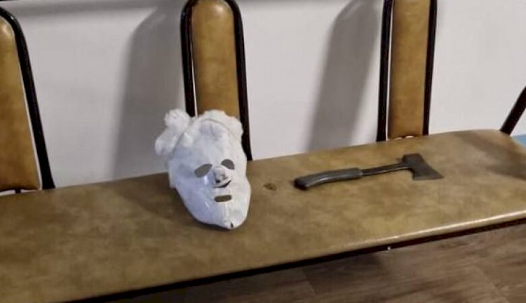 Петропавл мектебіндегі оқиға - Министрлік тексерістің алдын ала қорытындысын жариялады