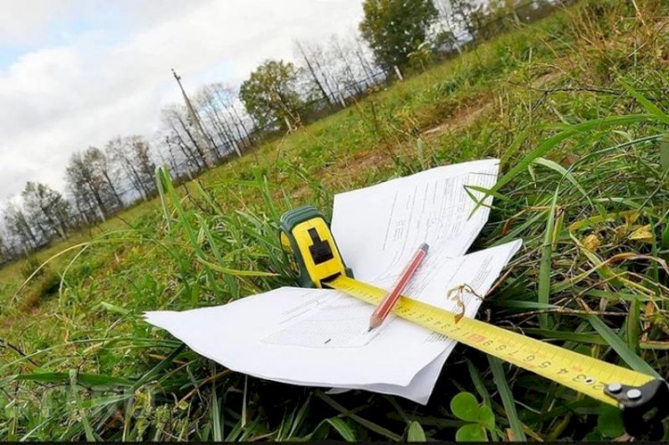 Алматыда заңсыз берілген 16 гектар жер анықталды