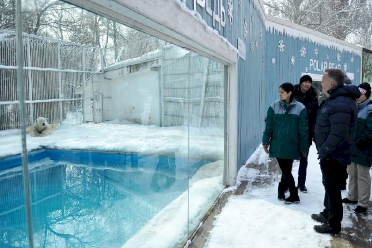 Алматы зообағы жаңғыртудан өтеді