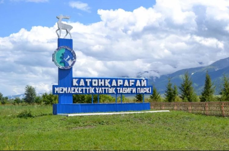 Катонқарағайда көп өзгеріс болмақ