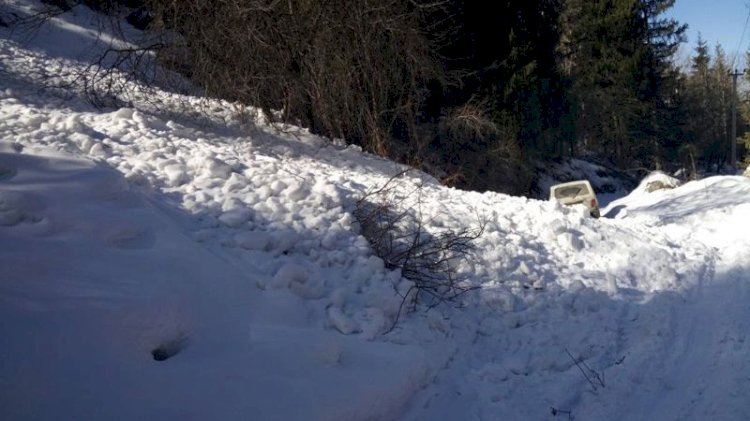 Алматы қорығының аумағына кіруге болмайды