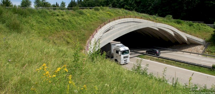 «Алматы-Сарыөзек-Талдықорған» жолында экодуктар салынады