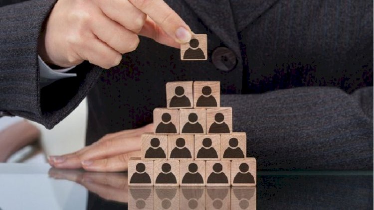 Екі бірдей қаржы пирамидасын құрғандар сотталды