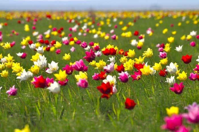 Мереке құтты болсын, «Alatau Aqparat» арулары!