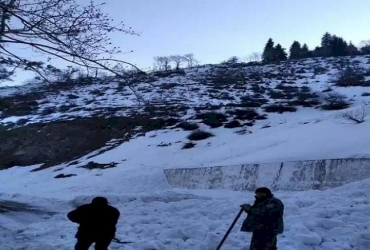 Алматы облысында қар көшкіні жүріп, тас жолды басып қалды