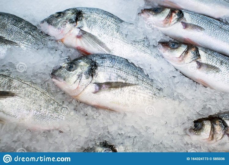 Жайын мен көксеркені экспорттауға тыйым салынуы мүмкін