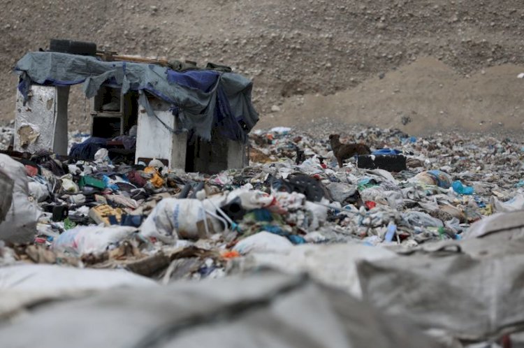 Қай елдер экологияға ең көп зиян келтіреді?