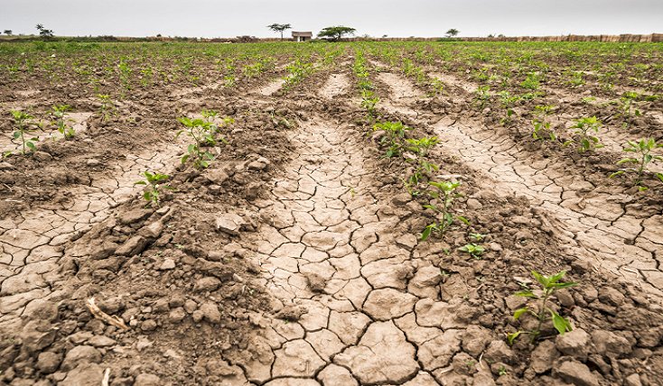 Уругвай алапат апат алдында тұр