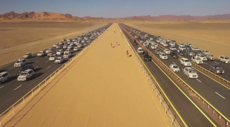 Түйелер жарысқа түсті