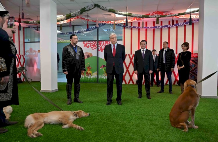 Тазы иттердің көрмесін тамашалаған Президент Тоқаев ерекше сыйлық алды