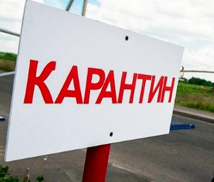 Бүтін бір ауыл карантинге жабылды
