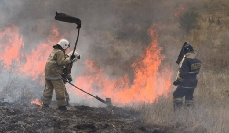 Алматыда тау баурайында өрт шықты