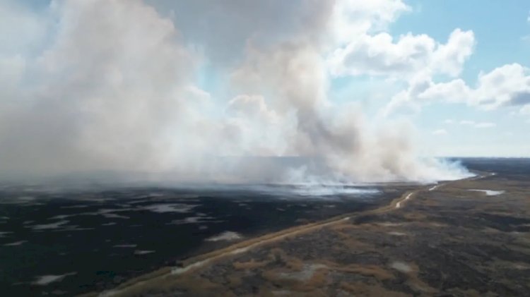 Атырау облысындағы резерваттың 85 гектары отқа оранды