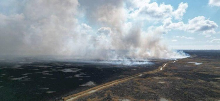 Атыраудағы табиғи қорықта өрт қаупі сейілді