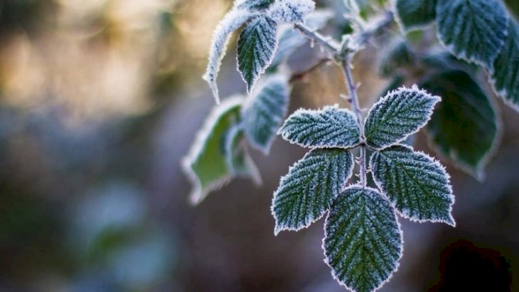 Қар жауып, қатқақ болады