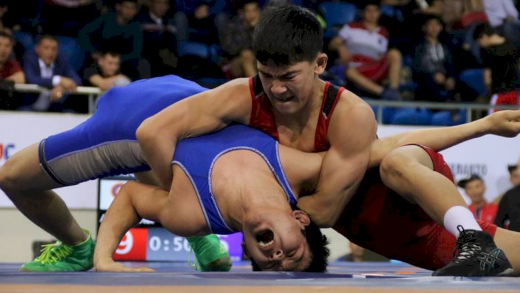 Балуандардың бапкерлеріне де сыйақы қарастырылған