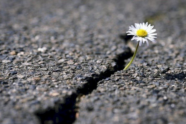 Адамдар, мен сіздерді жақсы көремін!