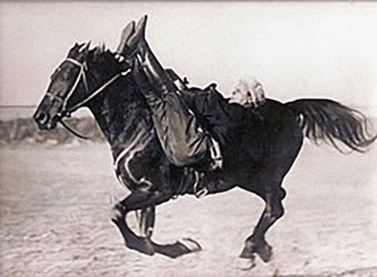 Ашамайға мінгізу салты