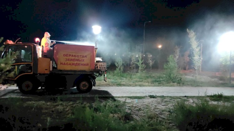 Алматыда вегетация басталды