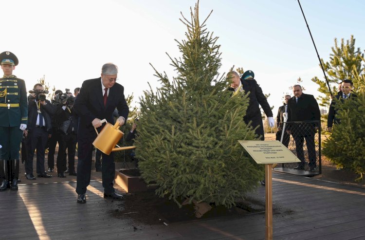 Астанадағы Әзірбайжан Президенті еккен шырша қайда кетті?