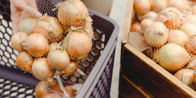 Елімізде 30 кәсіпкердің пияз экспорттауға рұқсаты бар