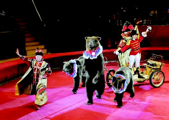 Қазақ мемлекеттік циркі халықаралық көрмеге қатысты