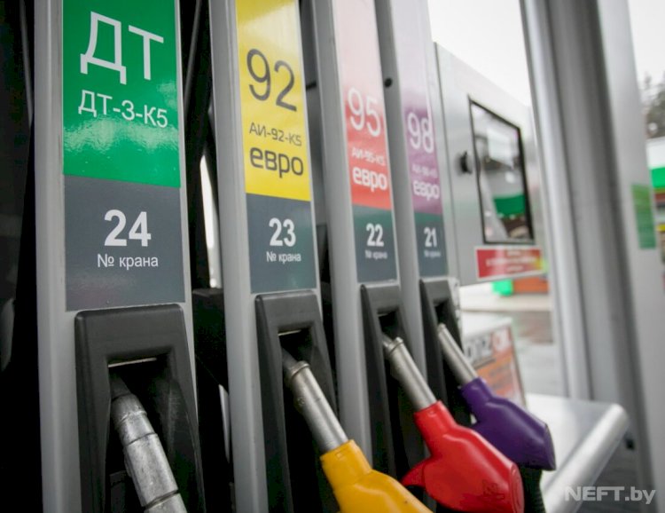 Жанармай саласын делдалдар иемденіп кетпеуі қажет – Мемлекет басшысы