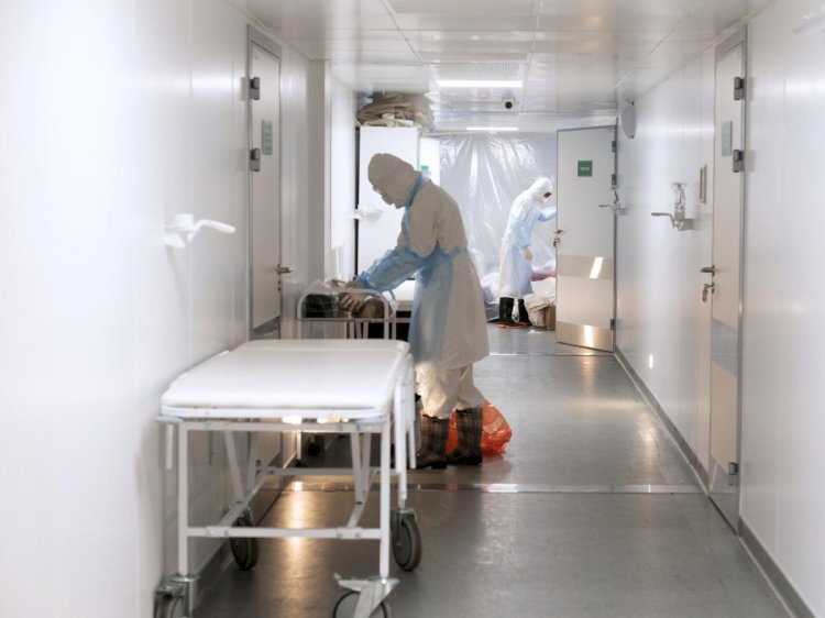 Ресей азаматы Қазақстанға денге безгегін алып келді