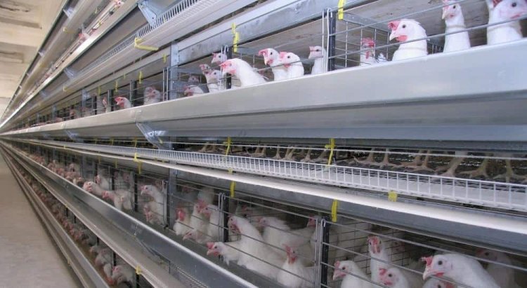 Тағы бір фабрика мемлекет меншігіне қайтарылды