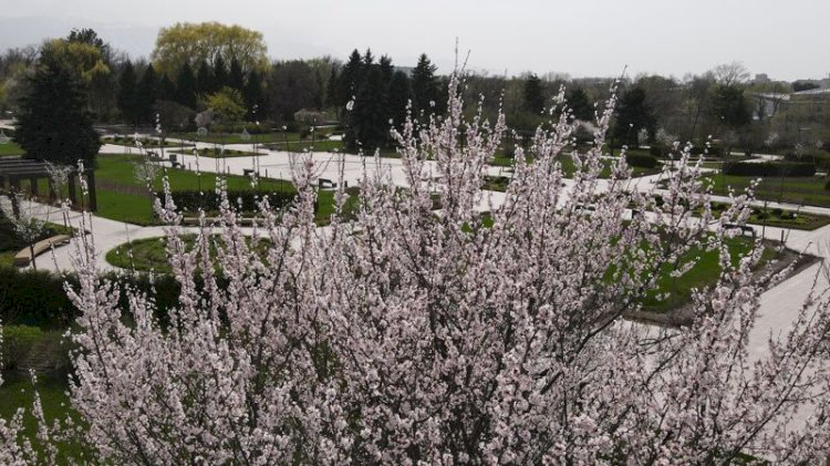 Алдағы аптада Алматыда күн жылы болады