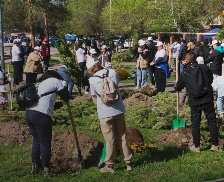 Алматыдағы экоакцияға 82 мың адам қатысты