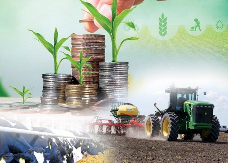 «Ауыл аманаты» жобасы іске асырыла бастайды