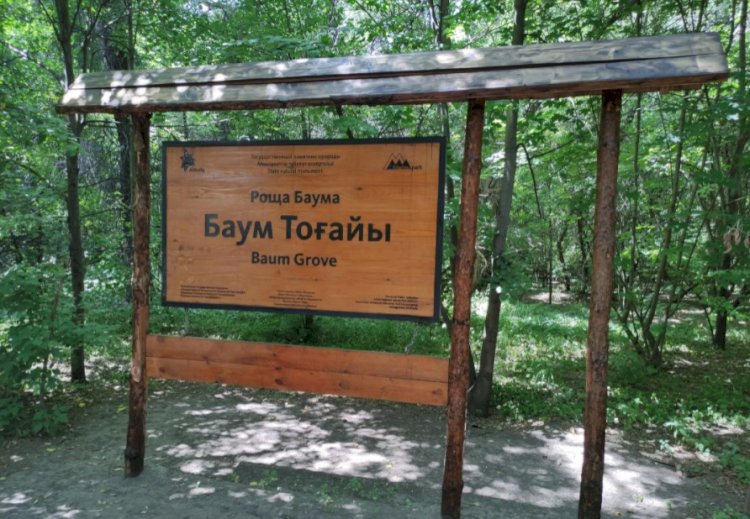 «Баум тоғайы» аумағына мыңдаған көшет отырғызылады