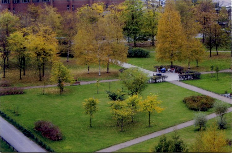 Алатау ауданында жаңа сквер пайда болады