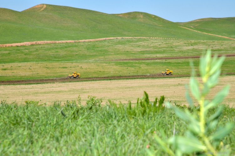 Жер кодексіне өзгерістер енгізілді
