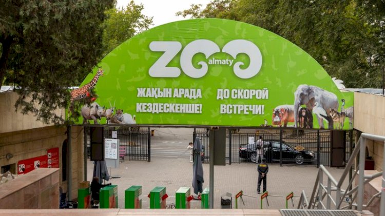 Алматы зообағына келушілердің көптігінен ереже бұзу да жиілеген