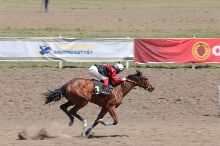 Алматы облысында ұшқыр бәйгеден QAZAQ WORLD CUP турнирі өтті