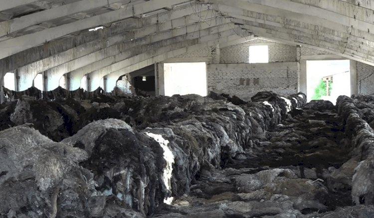 Алматы облысында ауыл тұрғындары тері зауытын жабуды талап етті