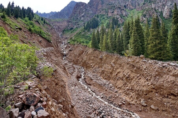 Өткен жылы ерекше қорғалатын табиғи аумақтарда ереже бұзған 655 адам әкімшілік жауапқа тартылды