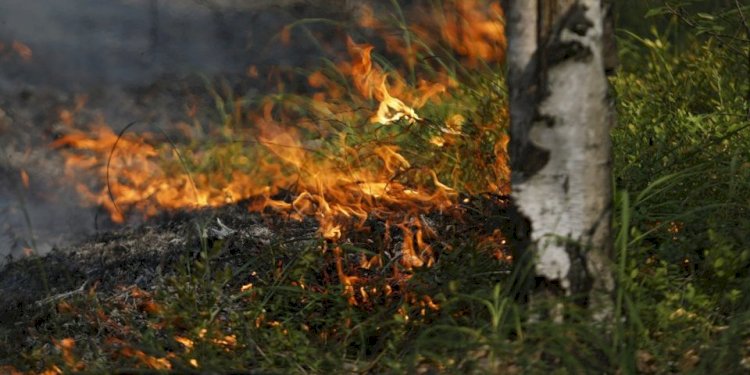 Орал тауын өрт шарпыды, қаза болғандар бар