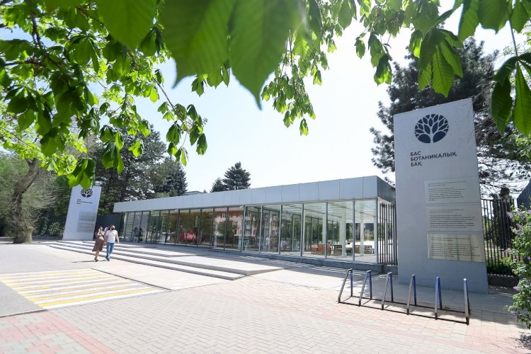 Алматы ботаникалық бағында медицинада кеңінен қолданылатын өсімдік өседі