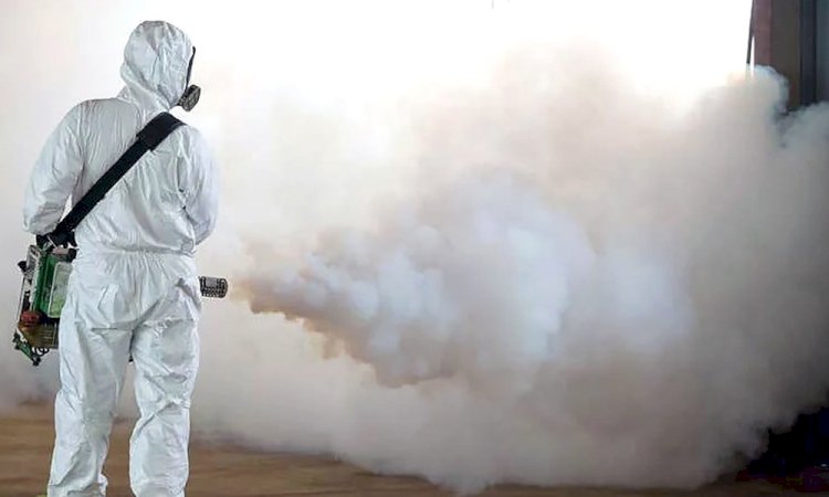 Алматыда кенеге қарсы дезинсекциялық өңдеу жұмыстарының екінші кезеңі жүргізіледі