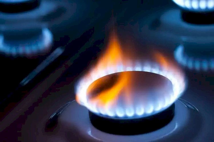 Табиғи газды тұтынудан еліміз тарихи рекорд орнатты