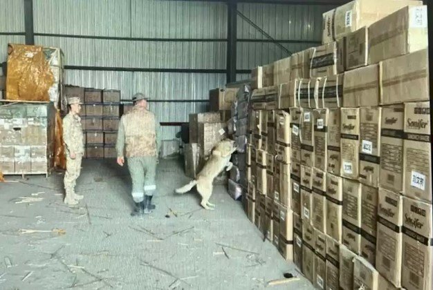 50 млн теңгенің темекісін заңсыз әкеле жатқан шетел азаматы ұсталды